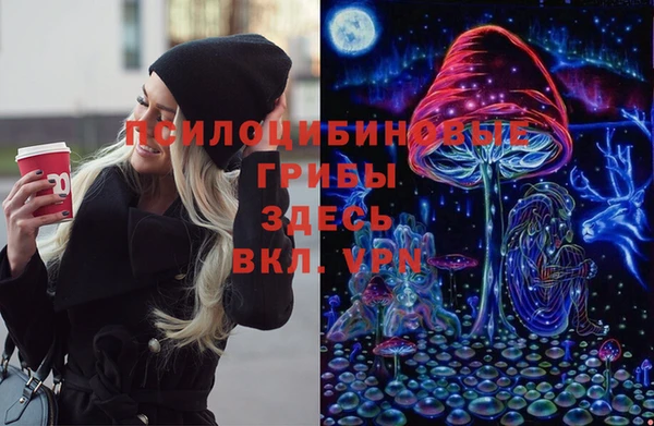 молекула духа Михайлов