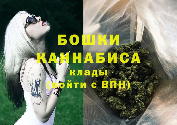 молекула духа Михайлов