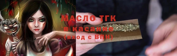 молекула духа Михайлов