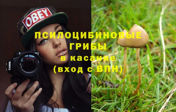 герыч Михайловск