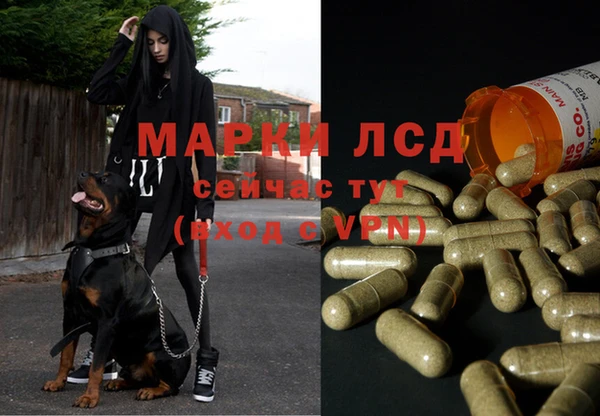 ПСИЛОЦИБИНОВЫЕ ГРИБЫ Михайловка