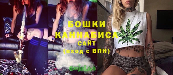 ПСИЛОЦИБИНОВЫЕ ГРИБЫ Михайловка