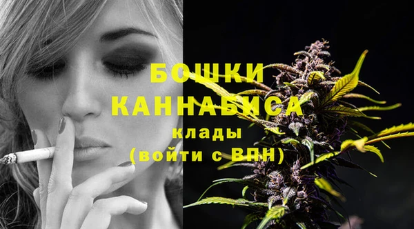 молекула духа Михайлов