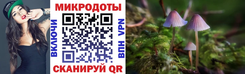 Псилоцибиновые грибы Magic Shrooms Шимановск