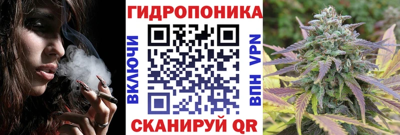 Каннабис индика  Шимановск 
